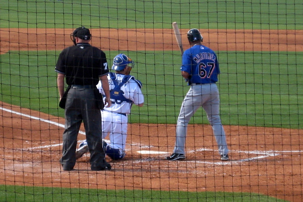 the history of baseball in florida