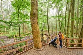 unlocking the secrets of nature at Hanna park