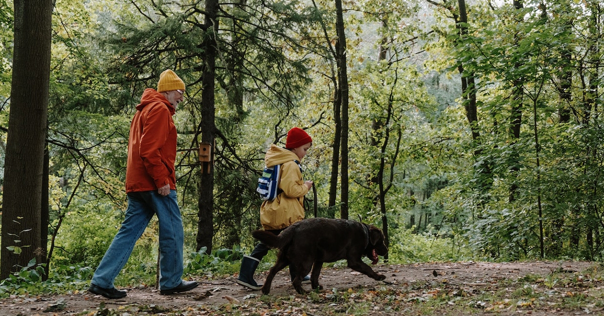 Barking Up the Right Tree: The Surprising Ways Dogs Can Improve the Quality of Life for the Elderly