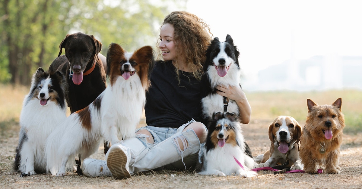 HOW TO PREPARE FOR THE MEETING: VISITING AN ANIMAL CLINIC IN JACKSONVILLE