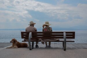 top dog friendly beaches in jacksonville, florida